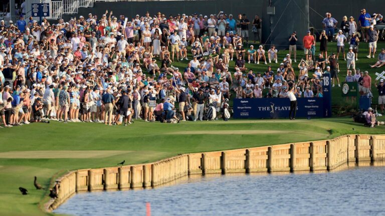 players championship fans crowd 18th 2024 g