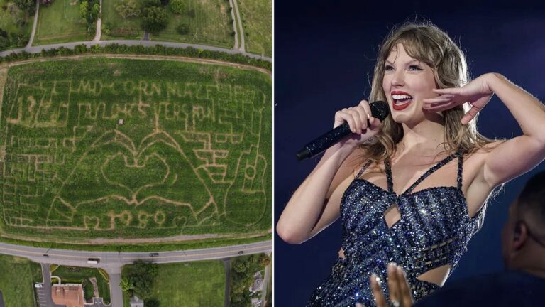 Taylor Swift corn mazes