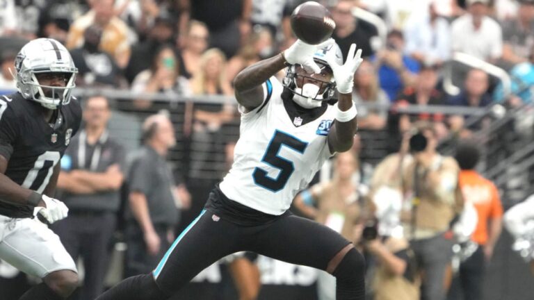 diontae johnson carolina panthers usatsi