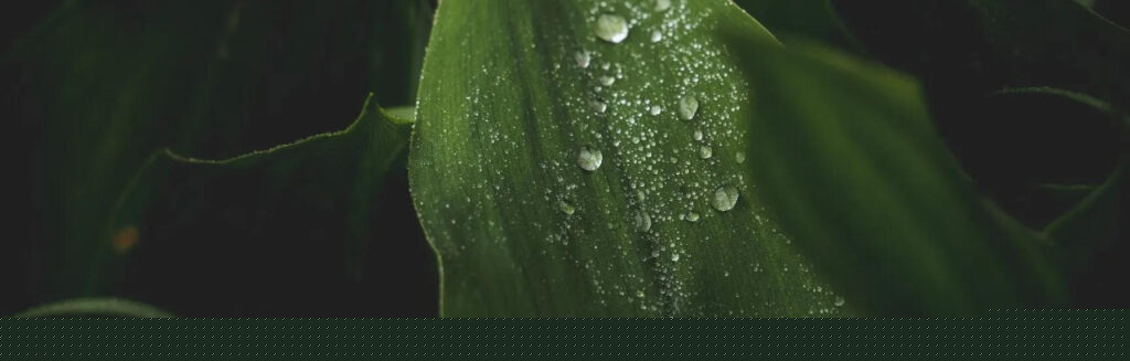 Reclaim Waste: Pioneering Sustainable Waste Management Solutions in Australia