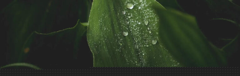 Reclaim Waste: Pioneering Sustainable Waste Management Solutions in Australia