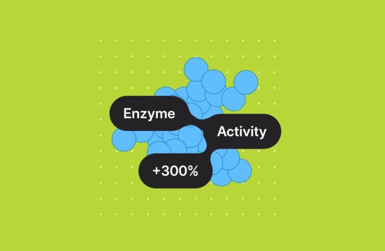 enzyme cradle