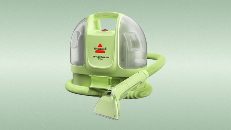 AD bissell little green