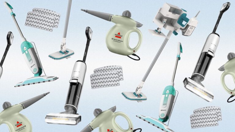 steam cleaners